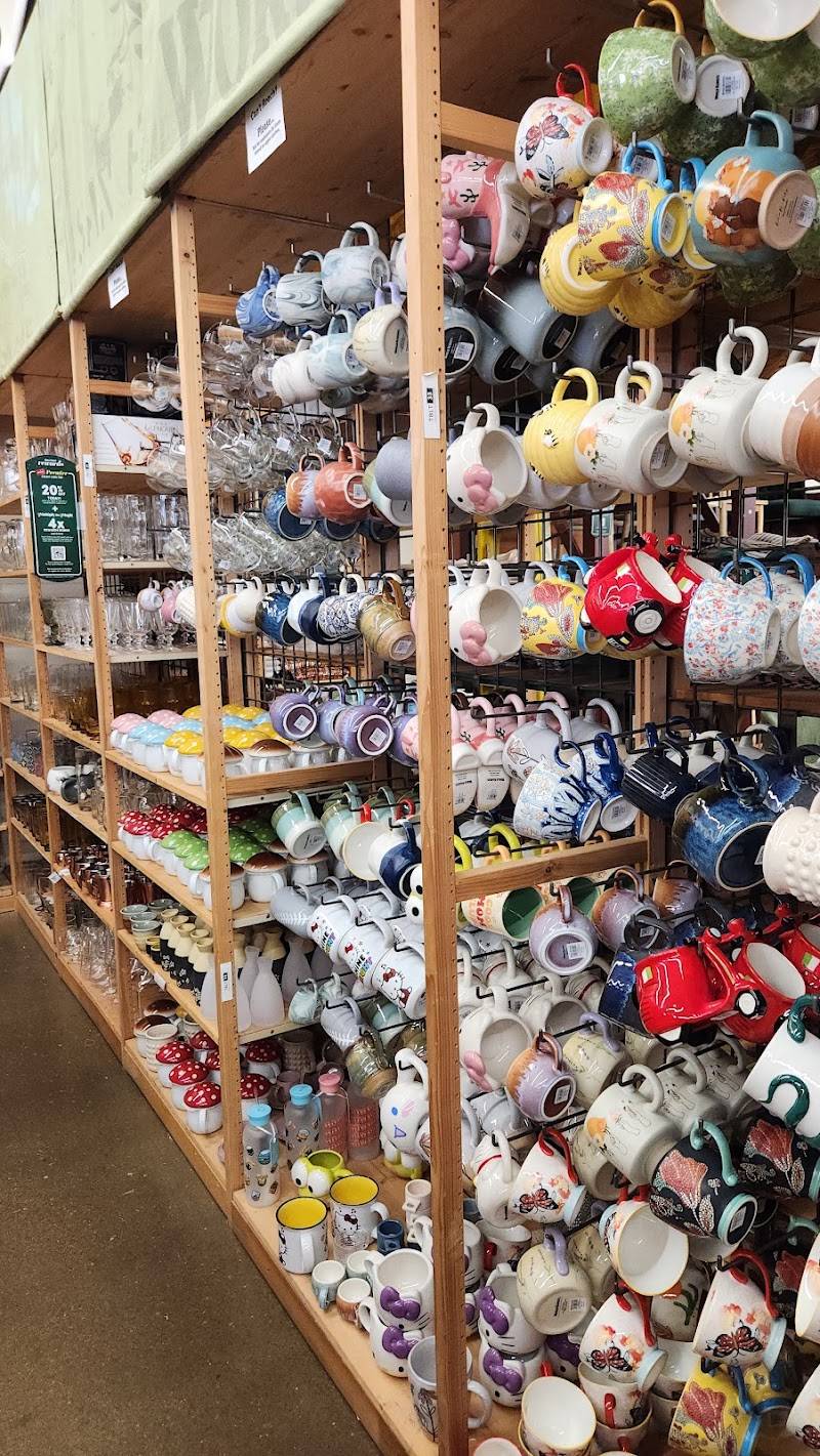 World Market