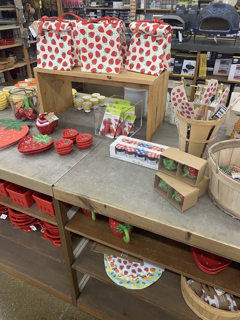 World Market